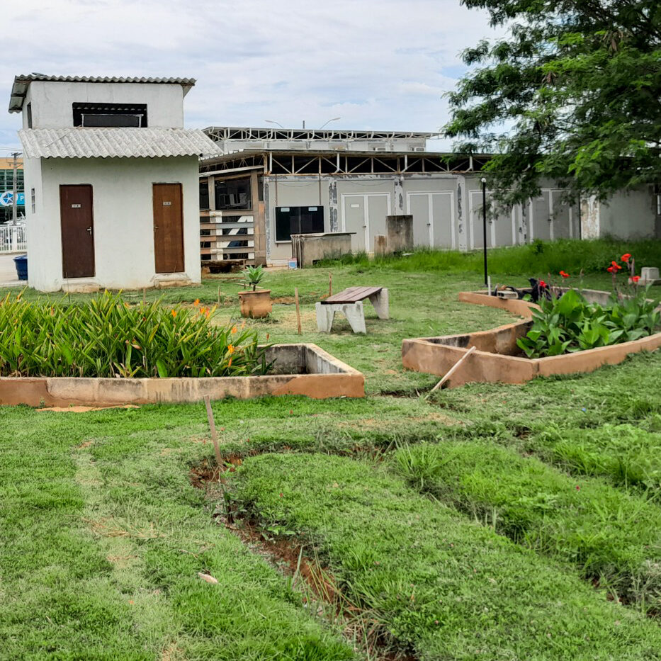 UFRJ contribui para sustentabilidade ao desenvolver projeto de tratamento de esgoto alternativo