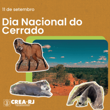 Dia Nacional do Cerrado