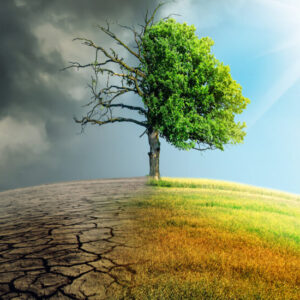 5ª Conferência Nacional do Meio Ambiente e o enfrentamento às emergências climáticas