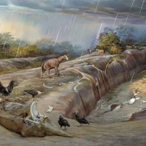 A extensão da Era do Gelo: período da megafauna brasileira é redefinida por pesquisadores da UFRJ