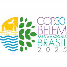 Startups amazônicas inovam e se preparam para a COP30 com foco em sustentabilidade