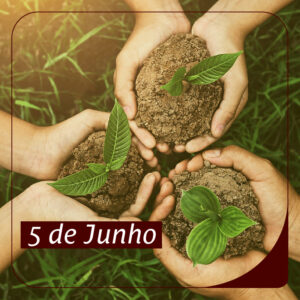 Dia Mundial do Meio Ambiente e da Ecologia