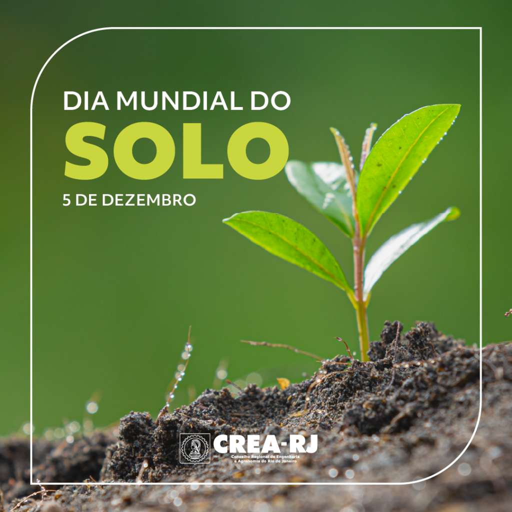 Dia Mundial do Solo