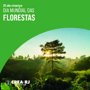 Dia Mundial das Florestas