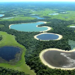 Plataforma identifica áreas estratégicas para a restauração da vegetação nativa no Brasil